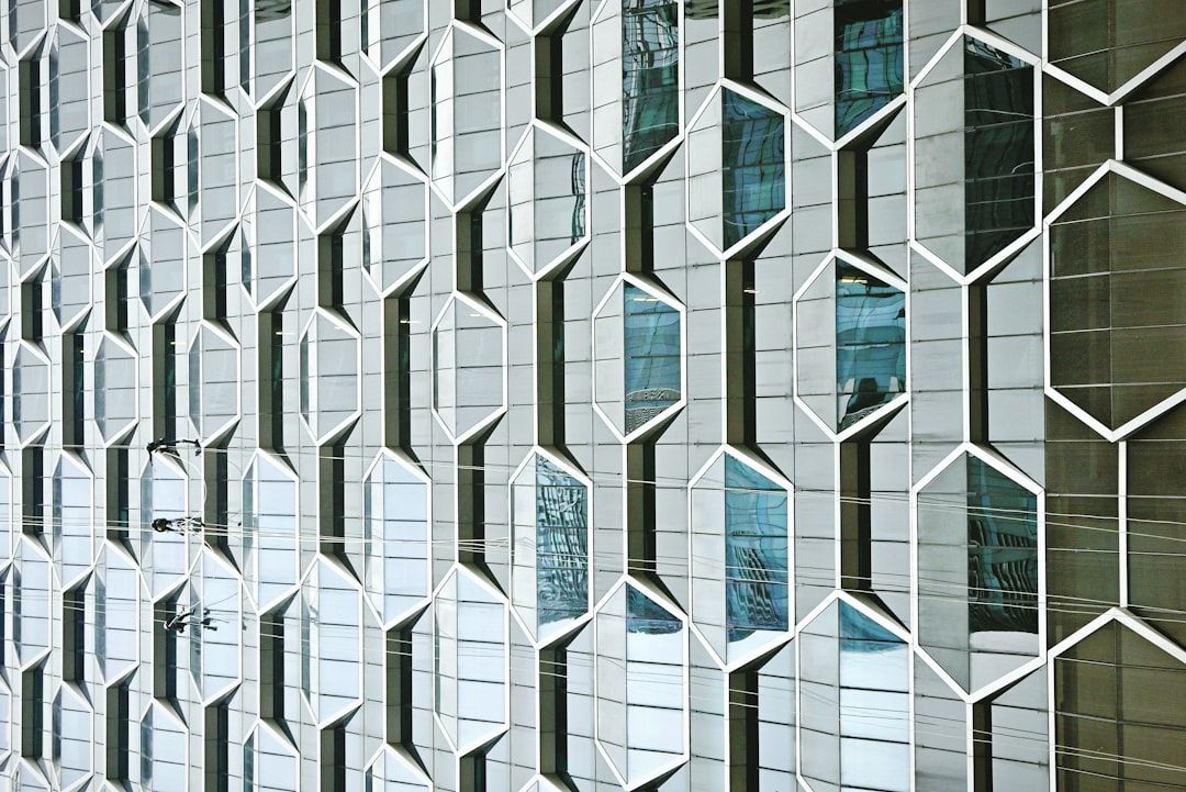 IGAPA's Inaugural Initiative: Fortifying International Democratic Governance