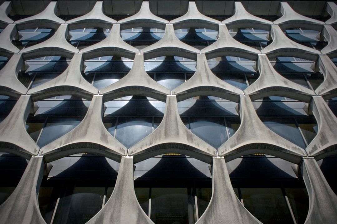 IGAPA's Inaugural Program: A Retrospective on Strengthening Global Democracy