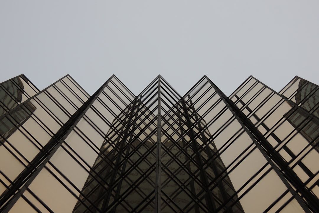 Russia's Geopolitical Assertions: US Polarization and Democratic Resilience